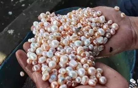 150珍珠和乾坤石哪个划算