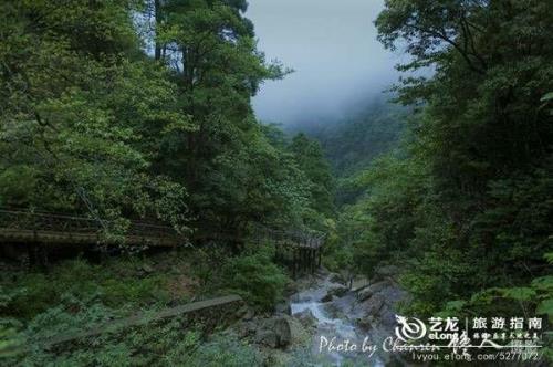 偏偏孤山引清梵是什么意思