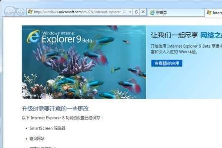 IE浏览器好用吗
