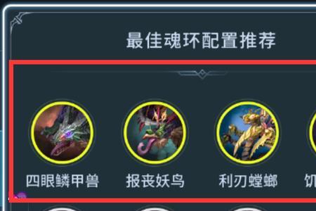 h5玄武龟魂环搭配