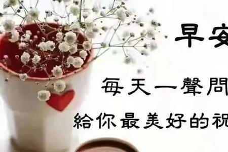 早上最佳问候词语