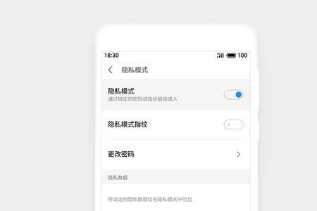 开发者模式隐私密码如何找回