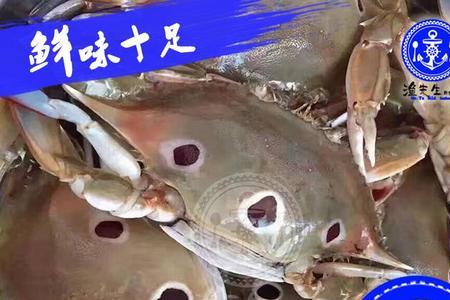 三点蟹怎么存活久