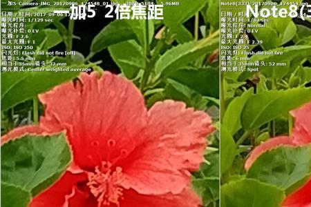 手机像素放大2倍后为什么很模糊