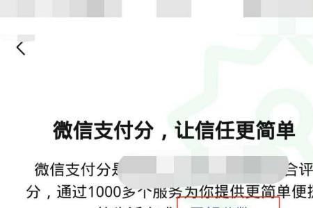 怎样付款才是微信支付