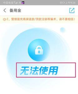 支付宝备用金还了怎么不能借了