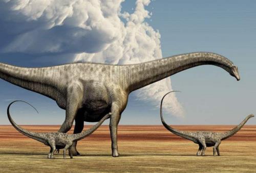 梁龙能长到32吨吗