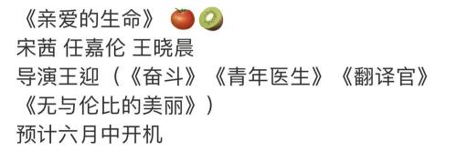 亲爱的生命李俊骁叶莺结局