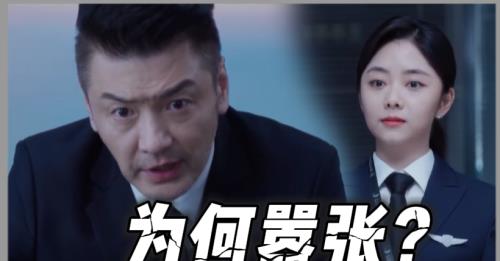 向风而行蔡总扮演者