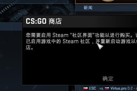 求助，steam显示不出来csgo的库存