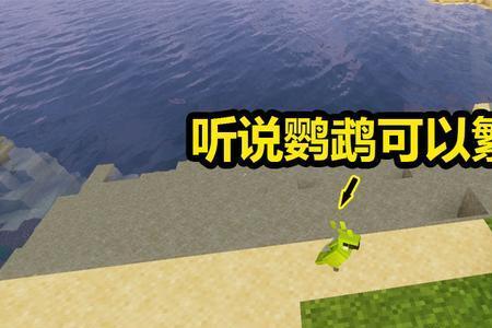 我的世界中鹦鹉能被绳子牵住吗