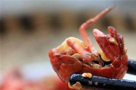 小龙虾为什么比虾尾贵