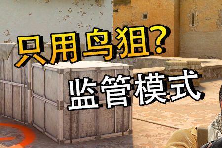 csgo鸟狙真名