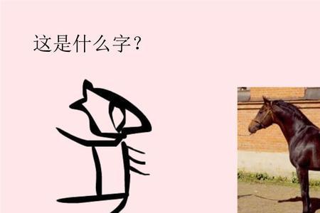 食是形声字还是象形字