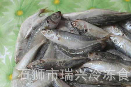 海里的浪棒鱼怎么做