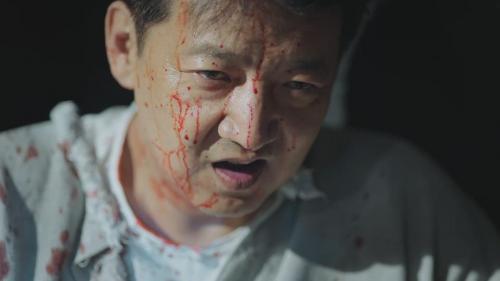 王砚辉经典角色