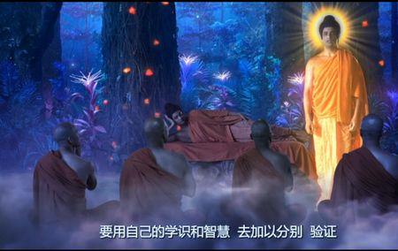 可悟不可修什么意思