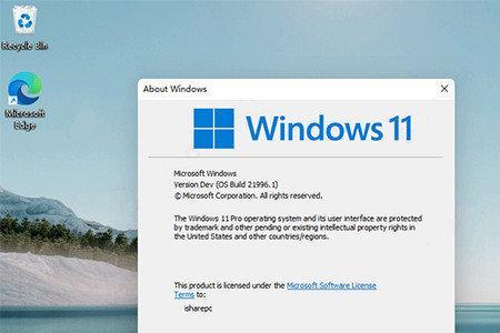windows11为什么会花屏