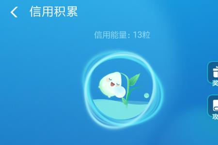 支付宝能量800克是什么