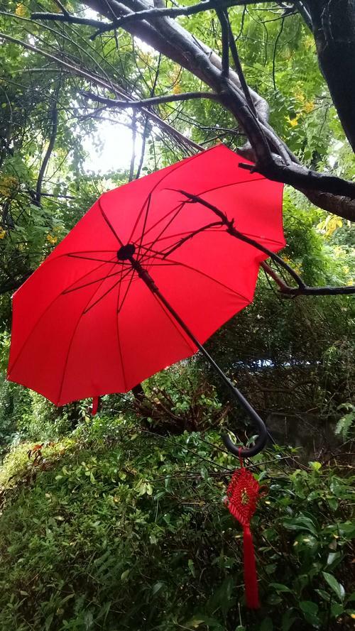 一把红雨伞的故事男主