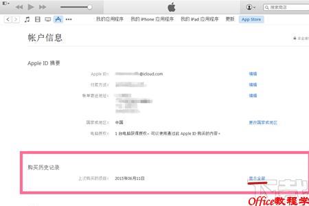 苹果内购买项目什么意思