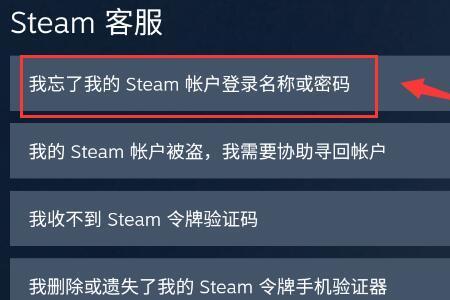 steam怎么查看自己密码