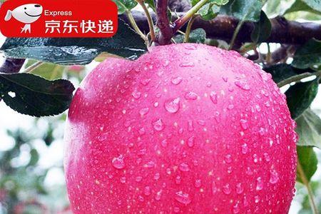苹果上下哪个是卡1