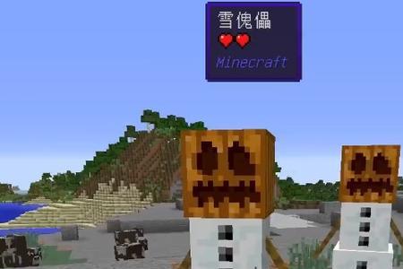 为什么一召唤雪傀儡它就会掉血