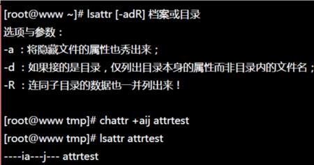 linux下whereis和which区别