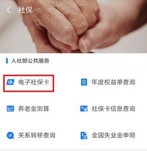 支付宝怎么查五险的缴费记录