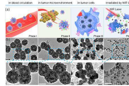 npg材料是什么材质