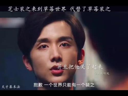 芝士世界的裴之结局