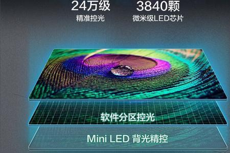 多分区背光和量子点哪个好