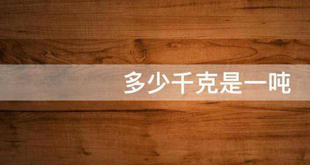 13t等于多少千克
