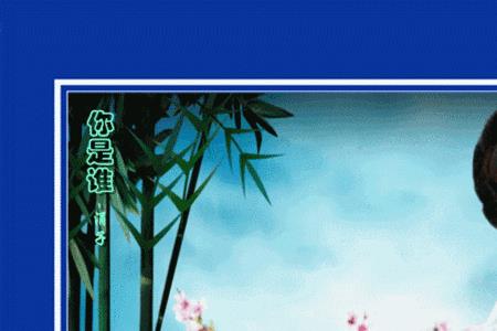 音画怎么使用