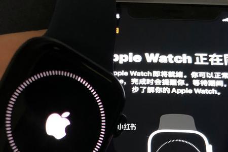 applewatchs8麦克风失灵
