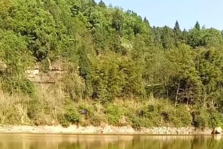 益阳钓鱼免费钓点