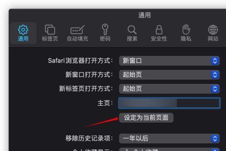 平板safari怎么上锁