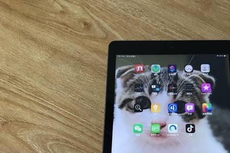 ipad2018插卡版和wifi外观区别