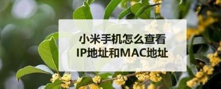 如何查小米手机的mac地址