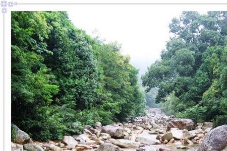 怎样描写小溪旁的石头