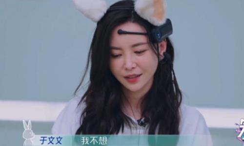 于文文是东北人吗