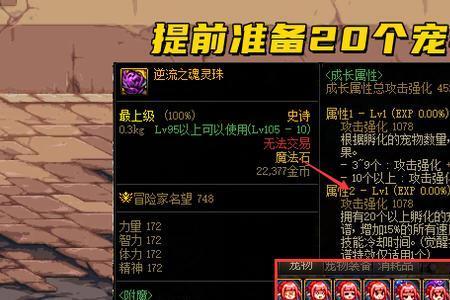 地下城固定属性装备是什么意思