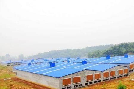 建养猪场材料哪种最划算