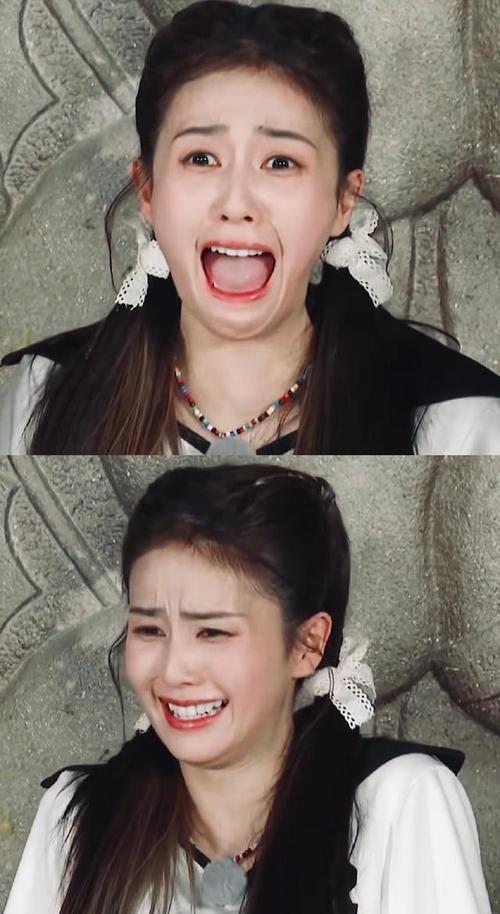 李一桐和白鹿是双胞胎么