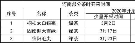 春茶存放时间
