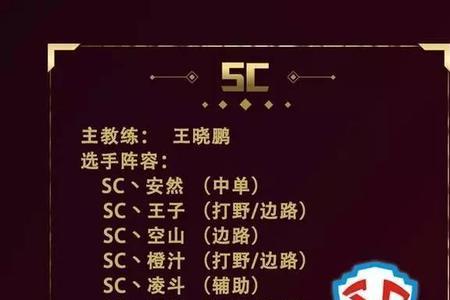 王者战队领队职位能干什么