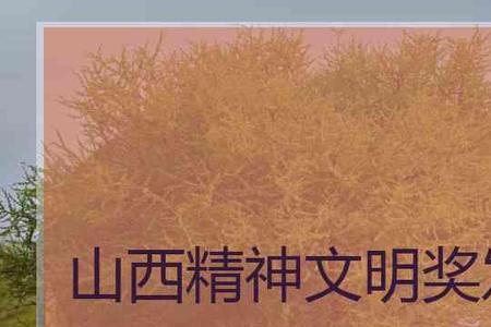 精神文明奖省级和市级差别