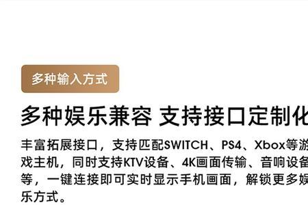坚果v20有多重