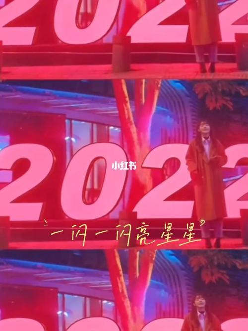 一闪一闪亮星星啥时候播出的